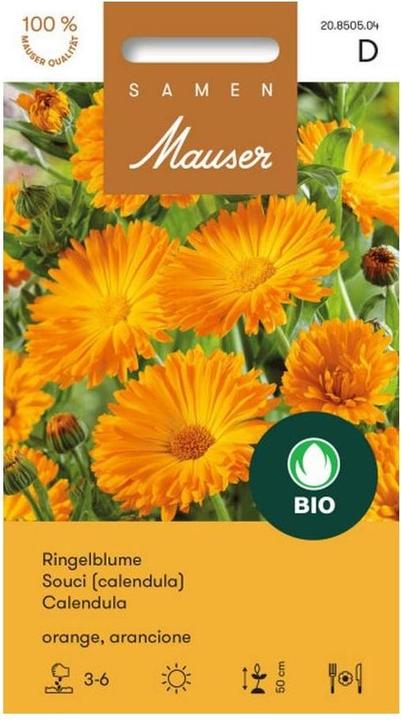 Image du produit Samen Mauser Souci (Graines de plantes)