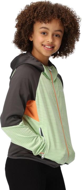 Produktbild Regatta Prenton II Softshelljacke mit Kapuze (116)