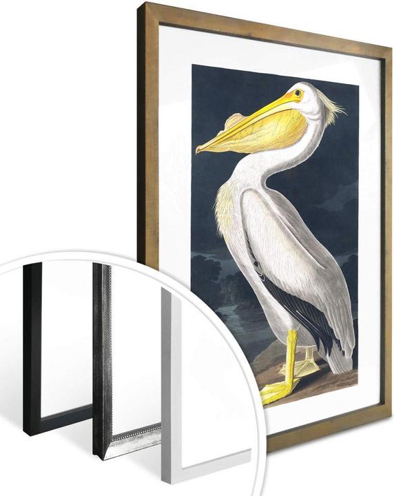 Produktbild Trenddeko Pelikan (40 x 50 cm)