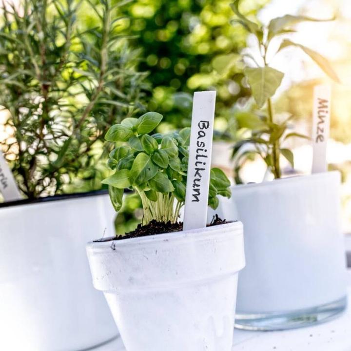 Produktbild Windhager Stecketiketten