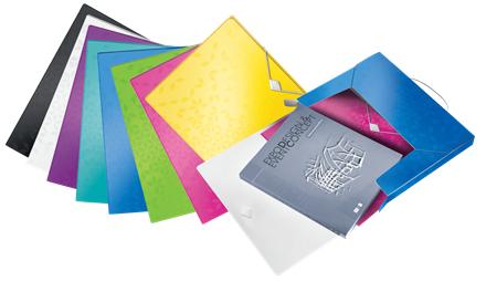 Actual product image Leitz WOW - Storage boxes (A4, 1 x)