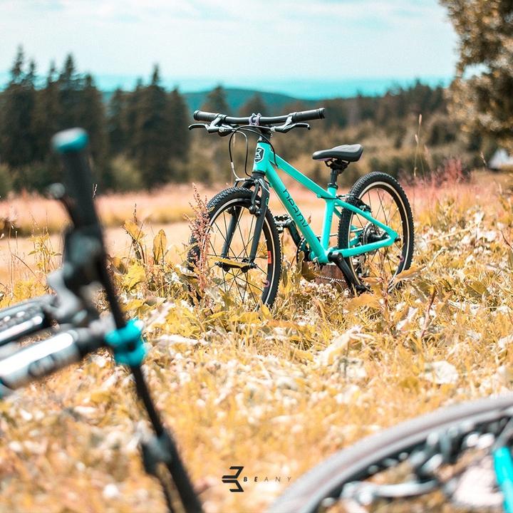 Productafbeelding Beany ZERO 20 fiets (10") Aluminium Mintkleur (20")