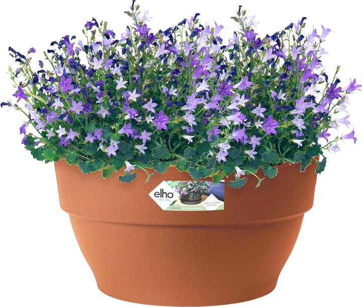 Produktbild Elho Vibia Campana Schale (34 x 170 cm)