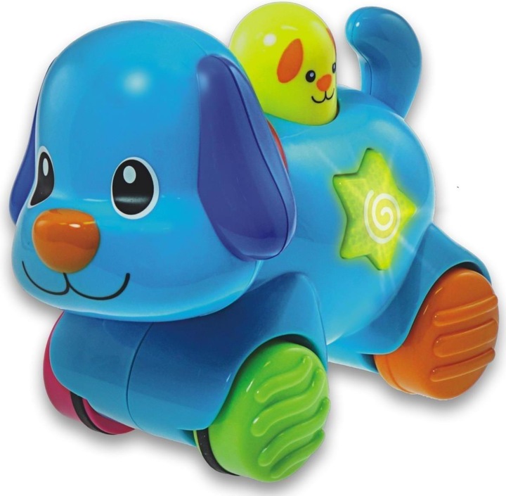 Actual product image Winfun Toy dog