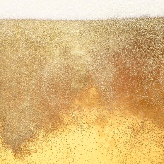 Image du produit BrewDog Wingman (4 x 33 cl)
