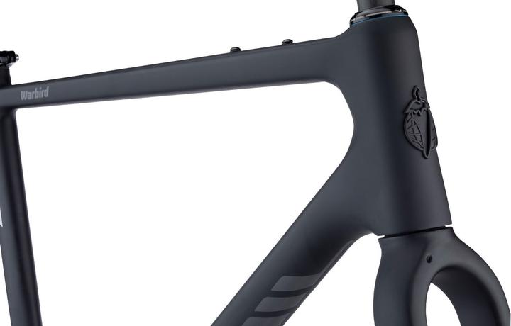 Productafbeelding Salsa Warbird Koolstofgrind