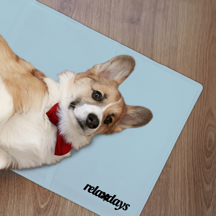 Image du produit Relaxdays Dog Cooling Mat, Grey (Chien)