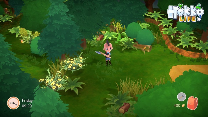 Produktbild Team17 Hokko Life (PS4, DE)