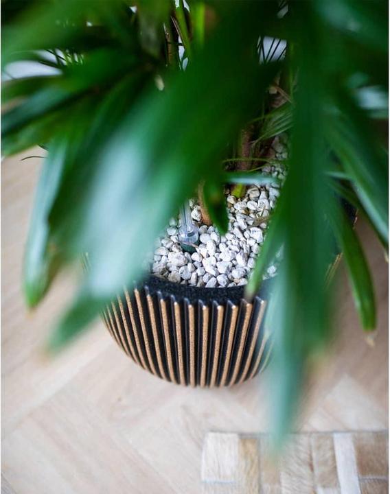 Produktbild Capi Morgan (35 x 34 cm)