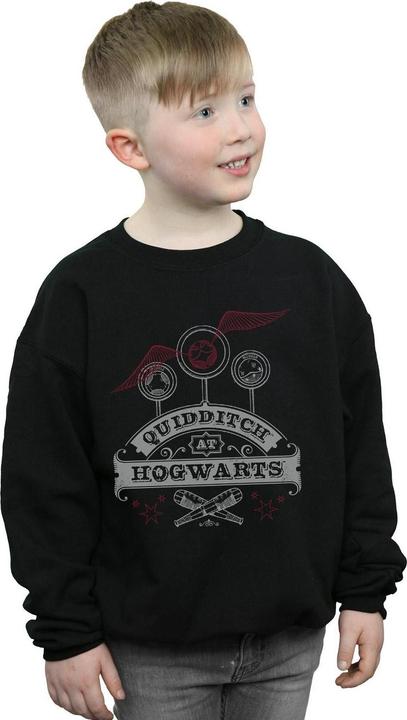 Produktbild Quidditch At Hogwarts Sweatshirt Jungen (116)