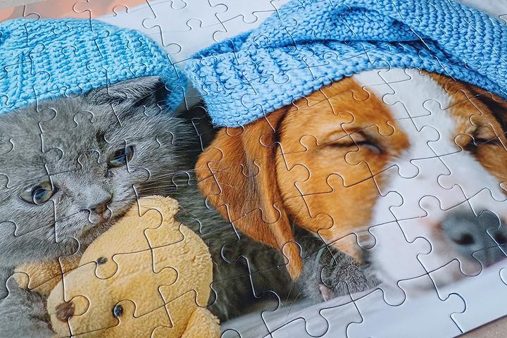 Actual product image Selecta Spielzeug Cute kitten and sleepy dog jigsaw puzzle, 100 pieces. (100 pieces)
