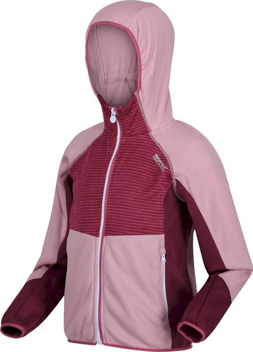 Actual product image Regatta Prenton Fleece Jacket Light (164)