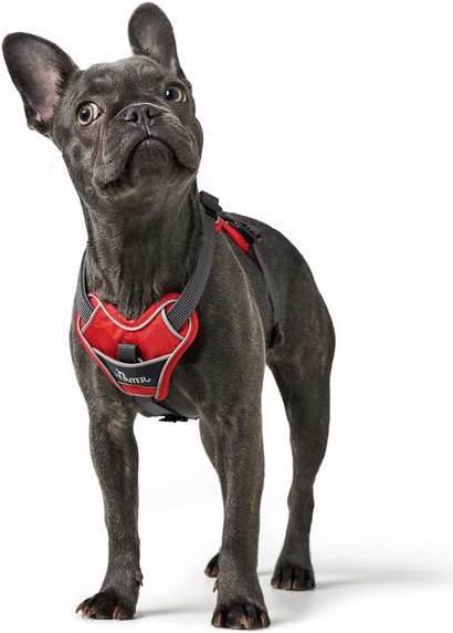 Productafbeelding Hunter Divo servies (S, M, Hond, Algemeen, Loop)