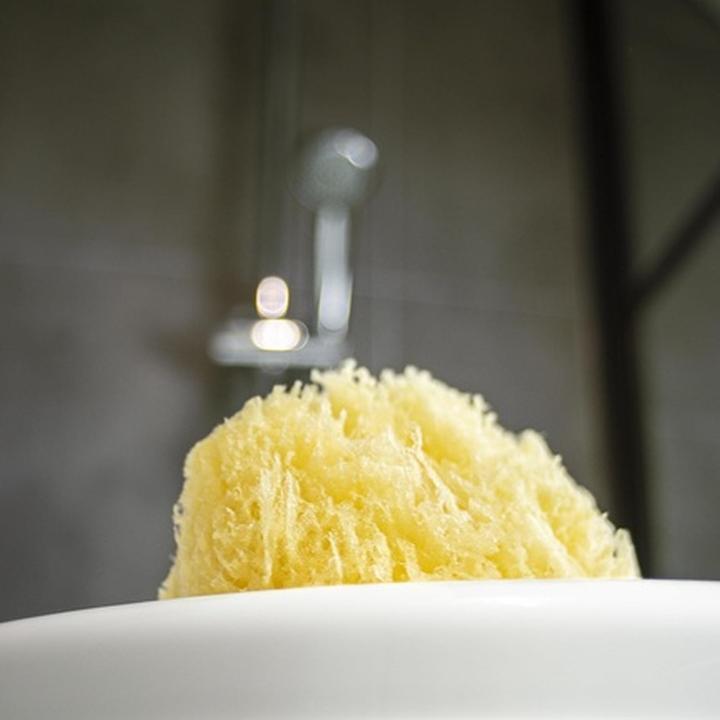 Actual product image dBb Remond Natural Sponge
