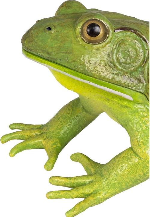 Produktbild Safari Ic Amerikansicher Ochsenfrosch