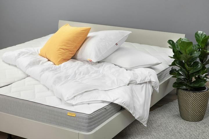 Immagine prodotto bico Primaloft Bio (50 x 70 cm)