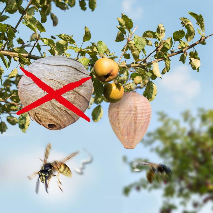 Actual product image Gardigo Wasp Nest Dummy