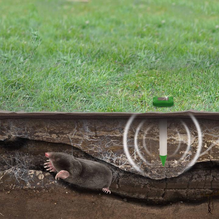 Actual product image Gardigo Solar mole defense