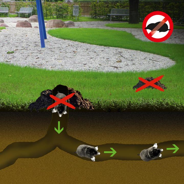 Actual product image Gardigo Solar mole defense