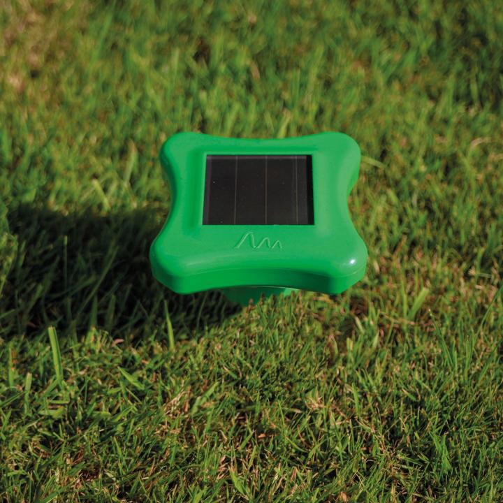 Actual product image Gardigo Solar mole defense