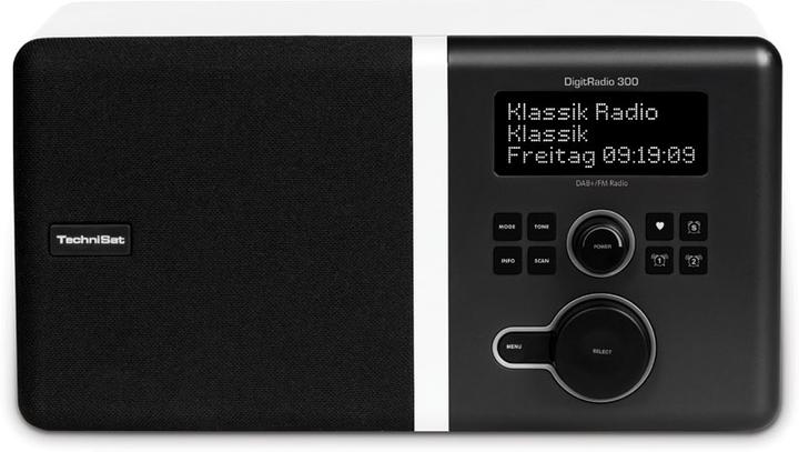 Actual product image TechniSat DigitRadio 300 (DAB+, FM)