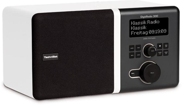 Actual product image TechniSat DigitRadio 300 (DAB+, FM)