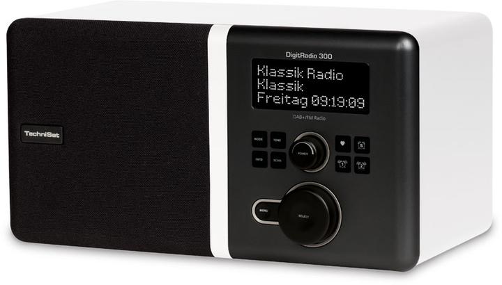 Actual product image TechniSat DigitRadio 300 (DAB+, FM)