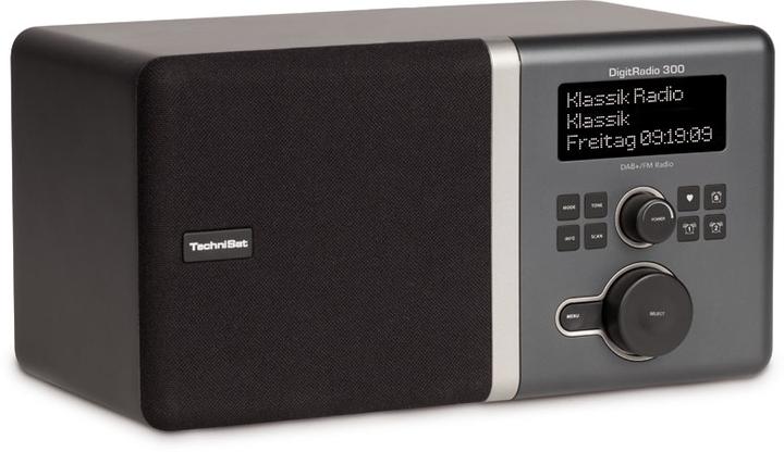 Actual product image TechniSat DigitRadio 300 (DAB+, FM)