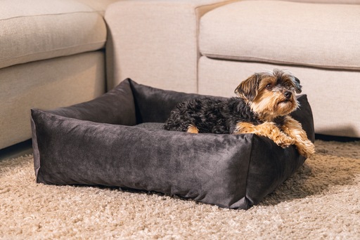 Image du produit Designed by Lotte Lit de repos Ribbed (Chien)