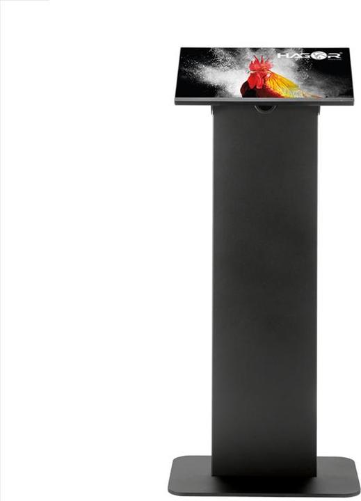 Produktbild Hagor vis-it Tilt Floormount 22 - 43 Black