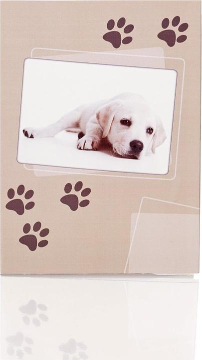 Immagine prodotto Magni Confezione di cancelleria 10/10 Sam zampe di cane (20 pz.)