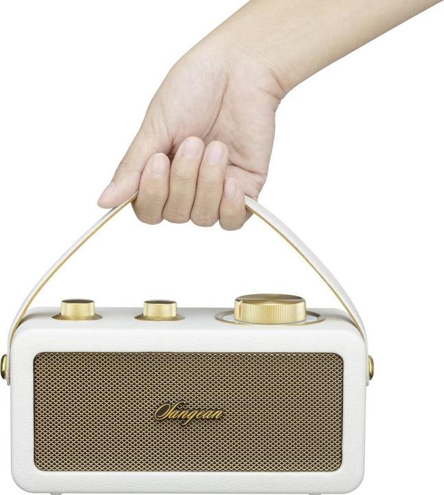 Image du produit Sangean RA-101 Radio à piles FM Bluetooth®, AUX rechargeable Ivory, Gold (FM, Bluetooth)