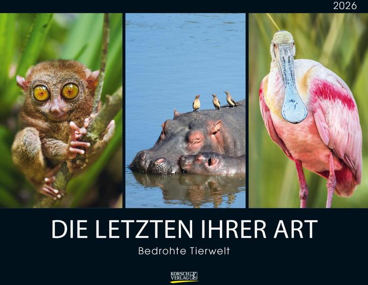 Produktbild Bedrohte Tierwelt 2026 (Querformat)