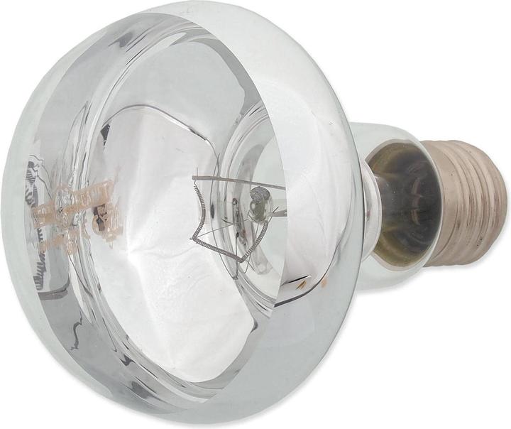 Produktbild Repti Planet Daylight Basking Spot 100 W (UVB, UVA)