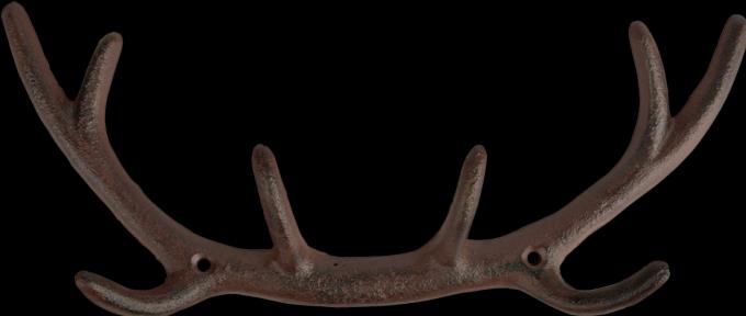 Actual product image Esschert Design Wall hook antler S