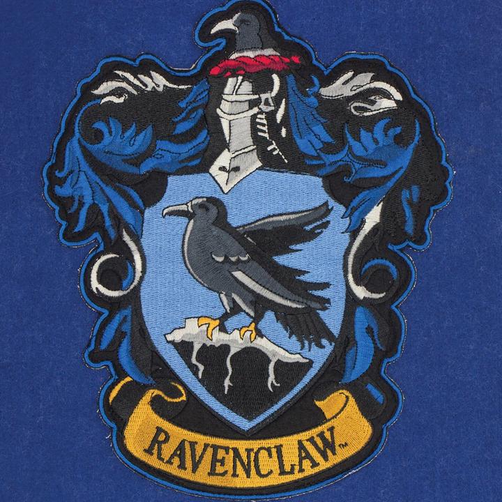 Image du produit Cinereplicas Harry Potter bannière Ravenclaw 30 x 44 cm (30 x 44 cm)