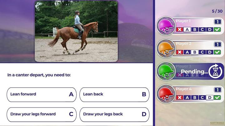 Immagine prodotto Microids Formazione equestre (PS4, EN)