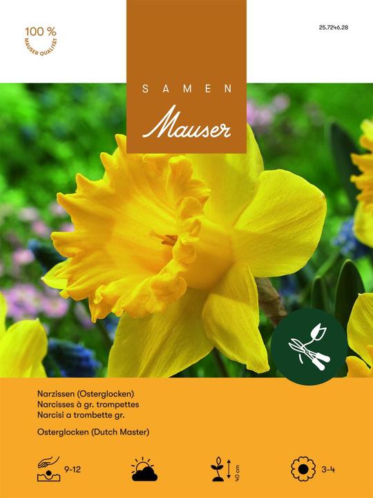 Produktbild Samen Mauser Osterglocken Aktion (Blumenzwiebeln)