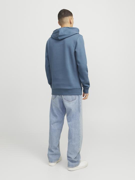 Actual product image Jack & Jones JJELOGO SWEAT HOOD 2 COL 24/25 NOOS (M)