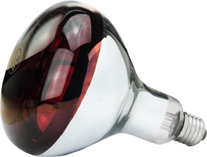 Image du produit Philips 22315 Lampe en verre trempé (150 W)