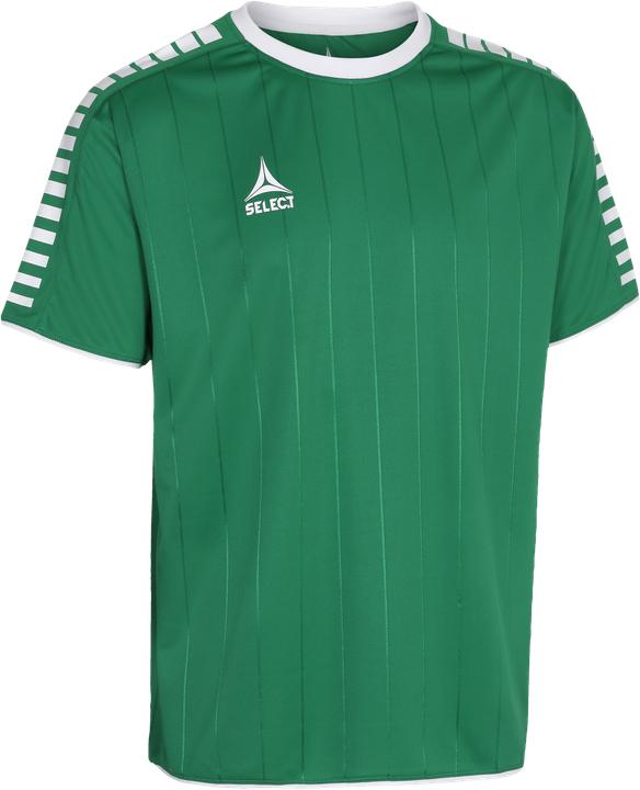 Produktbild Select Argentina Trikot (152)