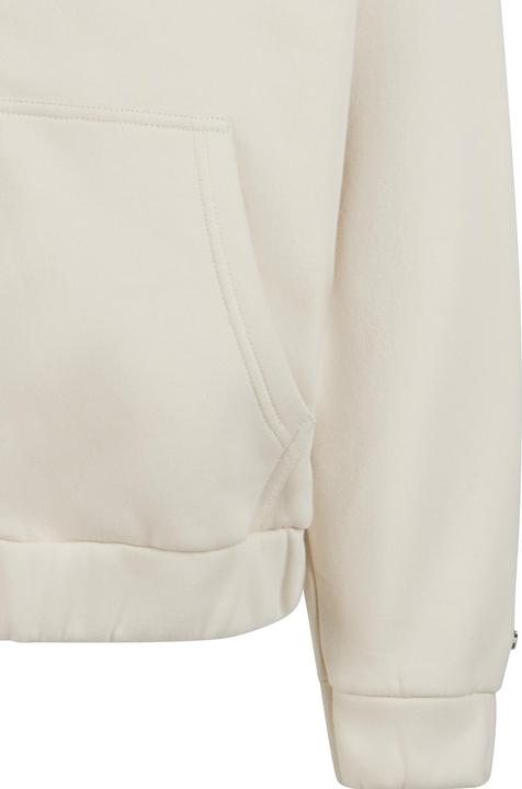 Image du produit Dropsize Sweat à capuche zippé Super Heavy Oversize Blank - 124683 (XL)