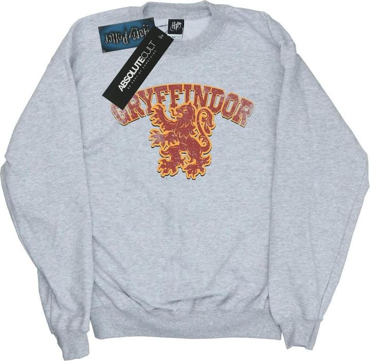 Produktbild Gryffindor Sport Emblem Sweatshirt Jungen (140, 146)