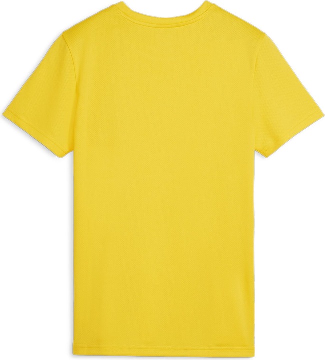 Produktbild Puma teamGOAL Jersey Wmn (S)