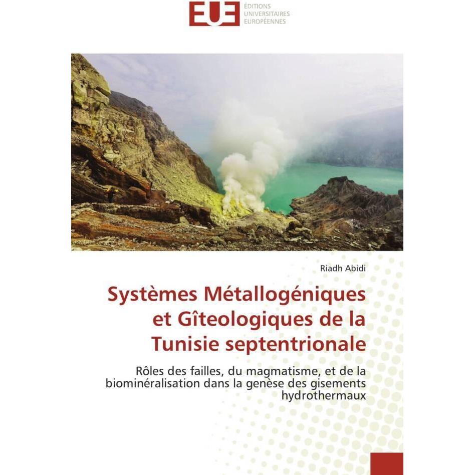 Systèmes Métallogéniques et Gîteologiques de la Tunisie septentrionale, Fachbücher von Riadh Abidi