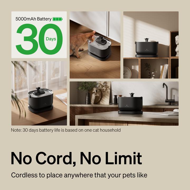 Actual product image Petlibro Dockstream Water Fountain (250 cl)