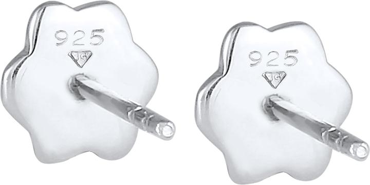 Immagine prodotto Elli Pfoten Stecker mt Emaille (Argento)