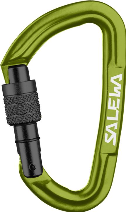 Actual product image Salewa Hot G3 Screw