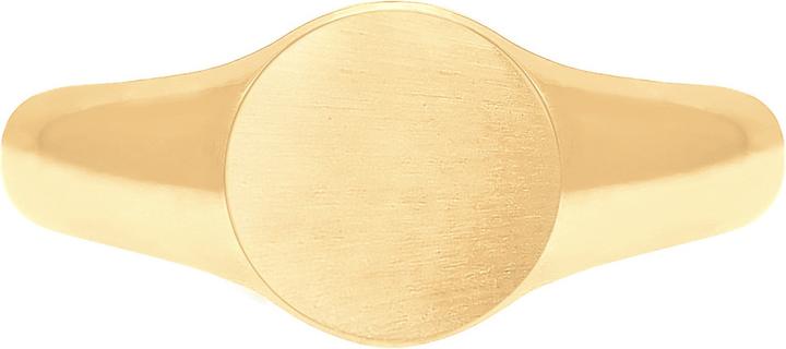 Produktbild Elli Siegelring Matt Optik (52, 925 Silber)