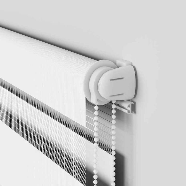 Produktbild vidaXL Zebra-Jalousie (155 x 100 cm)